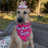 Entry image for Gumdrop