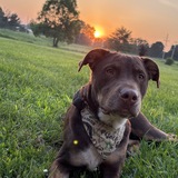 Entry image for Jäger