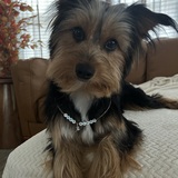 Entry image for Helen