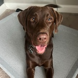 Entry image for Porter