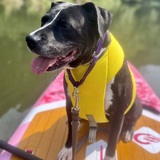 Entry image for Penny