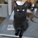 Entry image for Smudge