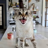 Entry image for Chloe Price 