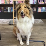 Entry image for Marty