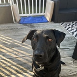 Entry image for Miley