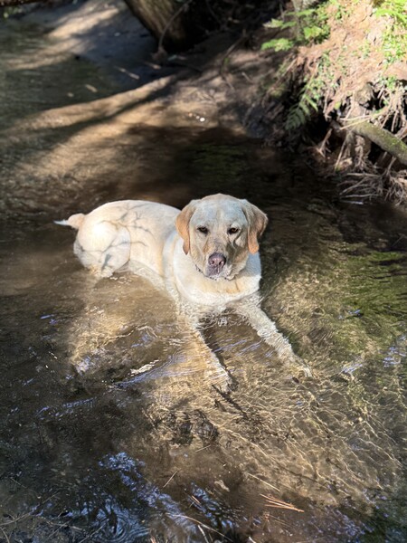 Entry image for Baxter  Aldrich. Clicking this image will show a larger photo