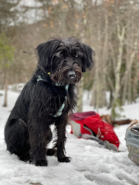 Entry image for Carl. Clicking this image will show a larger photo