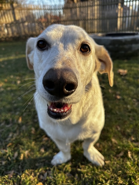 Entry image for Jackson . Clicking this image will show a larger photo