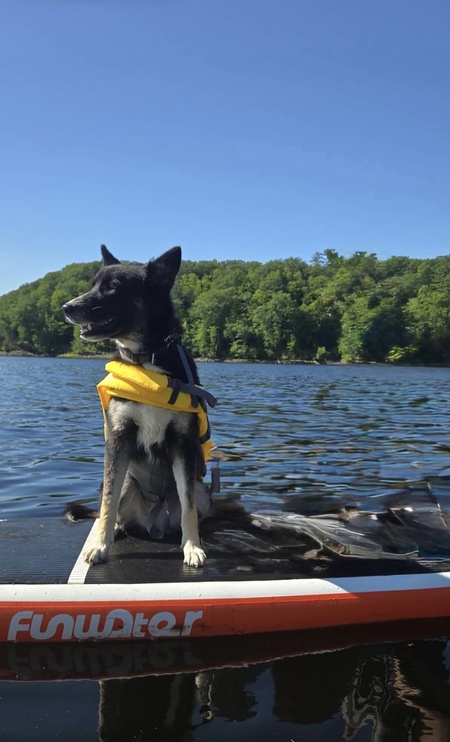 Entry image for Tess. Clicking this image will show a larger photo