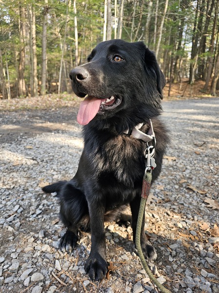 Entry image for Ari. Clicking this image will show a larger photo