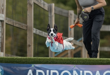 Entry image for Slick. Clicking this image will show a larger photo