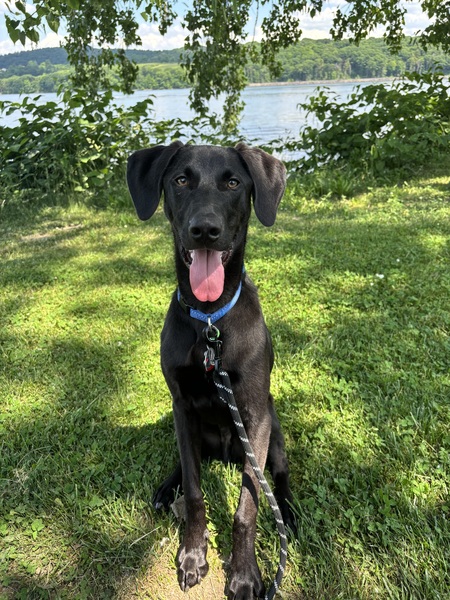 Entry image for Tupper. Clicking this image will show a larger photo