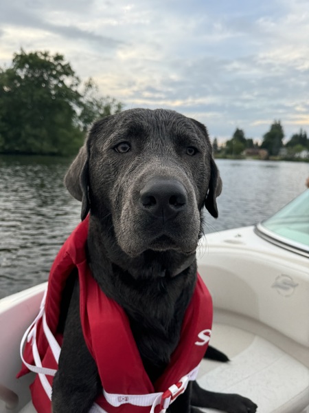 Entry image for Astro. Clicking this image will show a larger photo