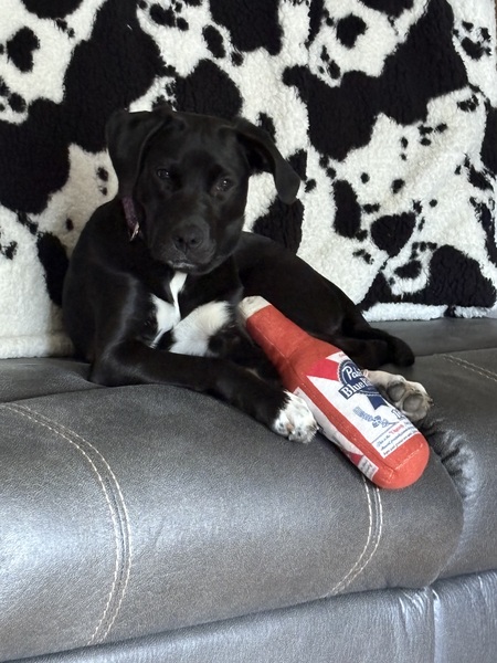 Entry image for Faith. Clicking this image will show a larger photo