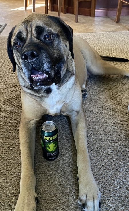 Entry image for Chunk. Clicking this image will show a larger photo