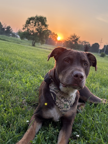 Entry image for Jäger. Clicking this image will show a larger photo