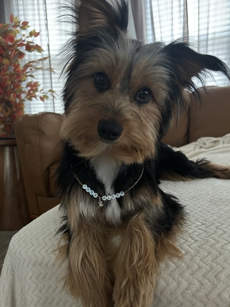 Entry image for Helen. Clicking this image will show a larger photo