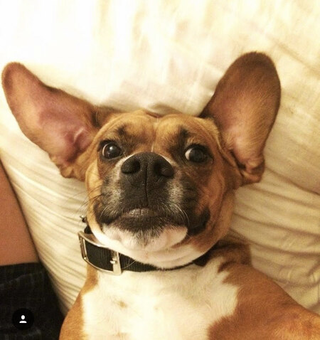 Entry image for Zac. Clicking this image will show a larger photo