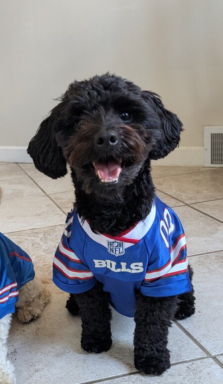 Entry image for Kobe . Clicking this image will show a larger photo