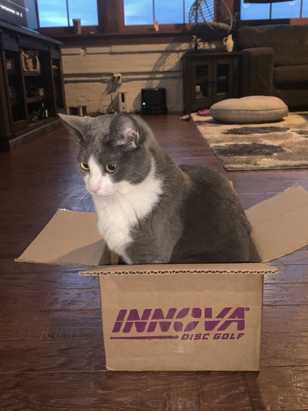 Entry image for Bug. Clicking this image will show a larger photo