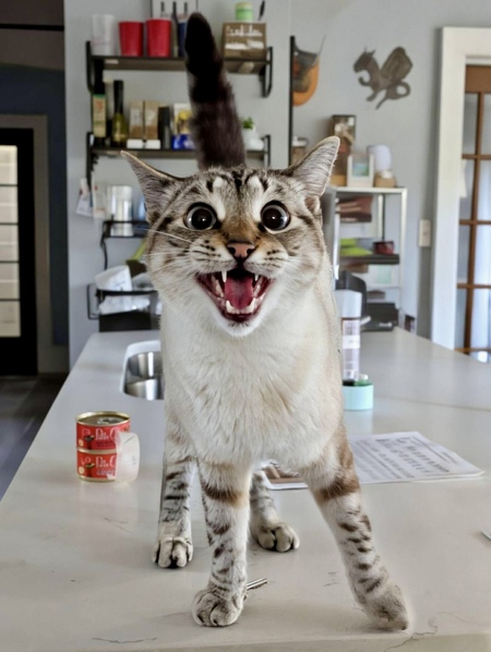 Entry image for Chloe Price . Clicking this image will show a larger photo