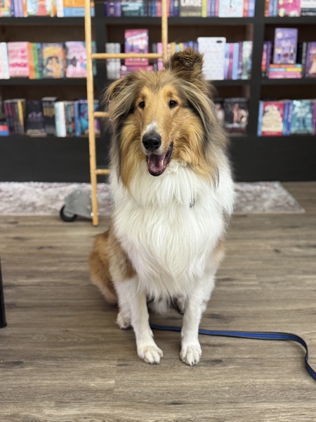 Entry image for Marty. Clicking this image will show a larger photo