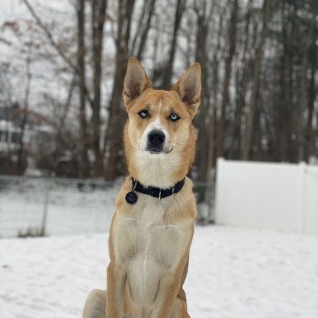 Entry image for Eli. Clicking this image will show a larger photo