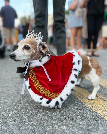 Entry image for Granny. Clicking this image will show a larger photo