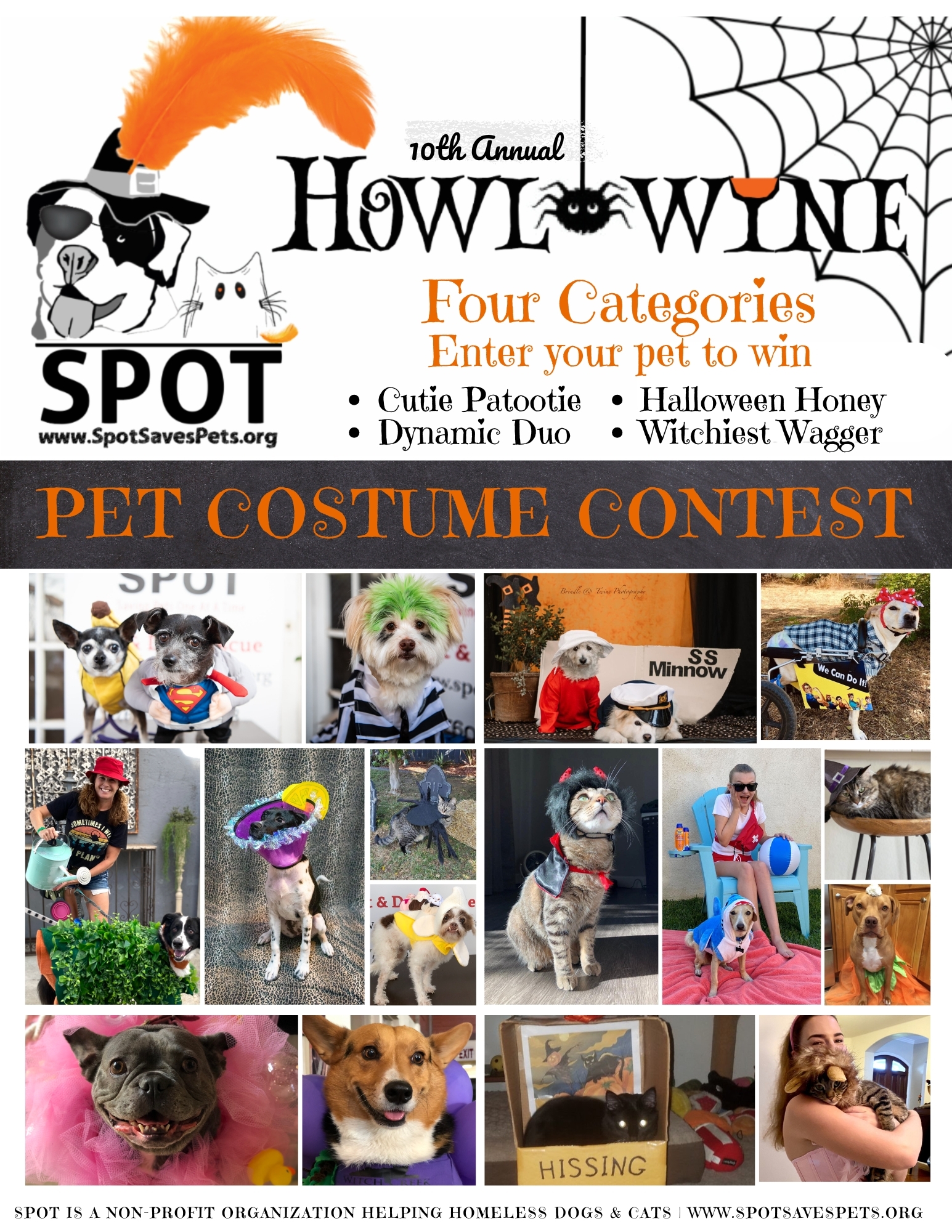 Banner for SPOT’s 10th Annual Halloween Costume Contest for Pets