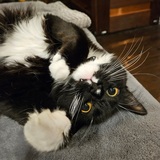 Entry image for Winnie