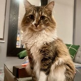 Entry image for Winnie