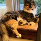 Entry image for Autumn