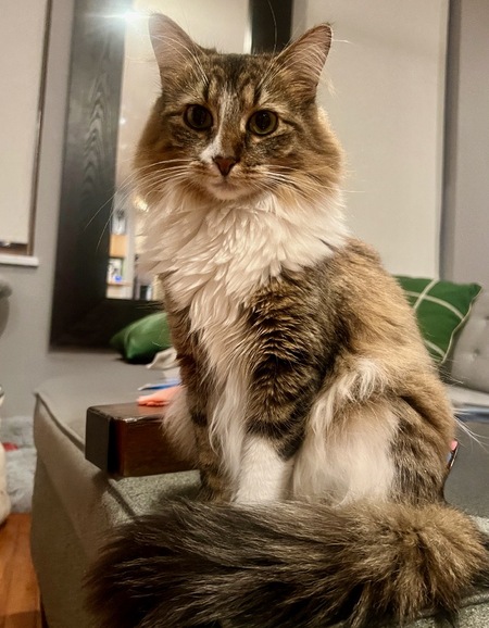 Entry image for Winnie. Clicking this image will show a larger photo