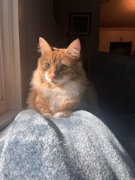 Entry image for steve. Clicking this image will show a larger photo