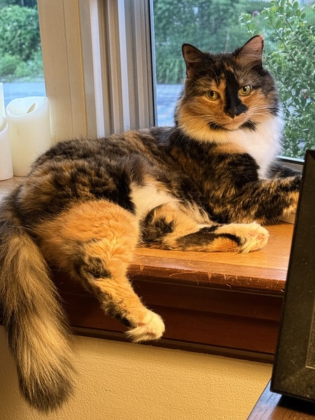 Entry image for Autumn. Clicking this image will show a larger photo