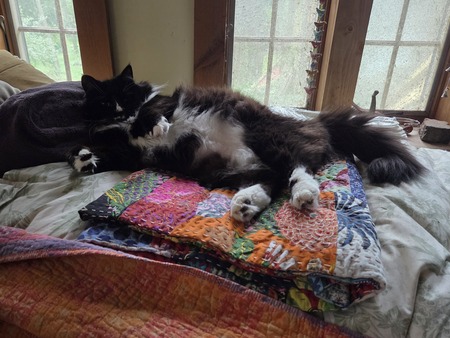 Entry image for Toulou. Clicking this image will show a larger photo