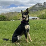 Entry image for Margot