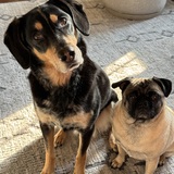 Entry image for Josie & Sally