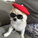 Entry image for Alvin 