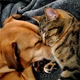 Entry image for Sammi & River