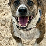 Entry image for Ricky B