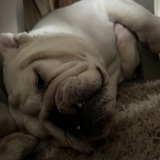 Entry image for Rosebud