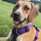 Entry image for Maddy Bruse 