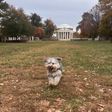 Entry image for Stetson