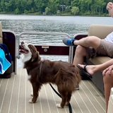 Entry image for Pup-Pup