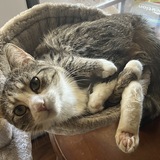 Entry image for Winnie