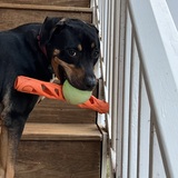 Entry image for Brinabell