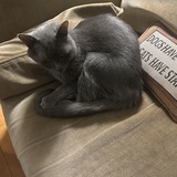 Entry image for Malbec