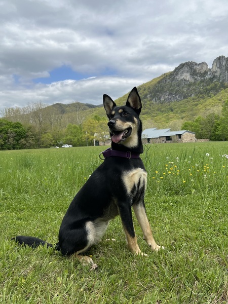 Entry image for Margot. Clicking this image will show a larger photo