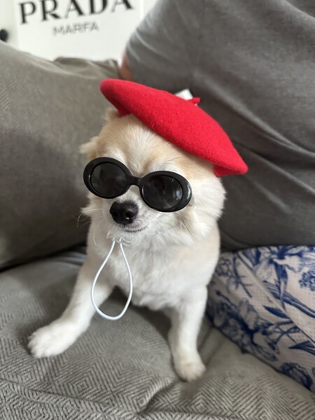 Entry image for Alvin . Clicking this image will show a larger photo